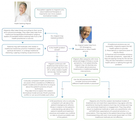 image health seeking patterns